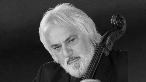 Andrew Shulman