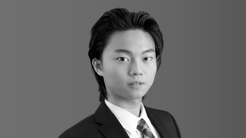 Ray Ushikubo